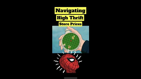 Navigating High Thrift Store Prices