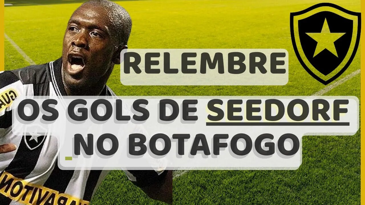 Gols de Seedorf no Botafogo - 24 gols (após 30 segundo de Vídeo)