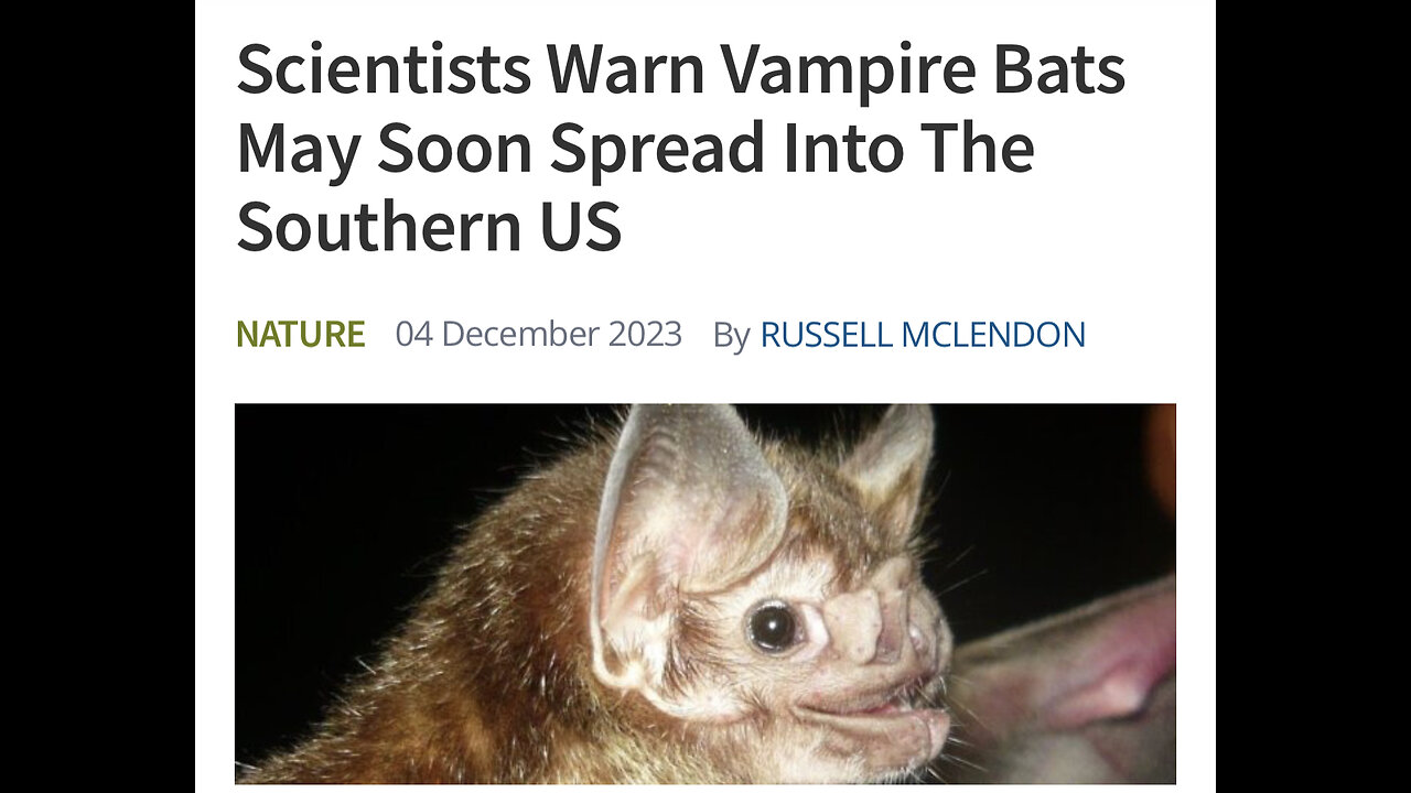 Vampire Bats With Rabies Changing Places 👀🦇🩸