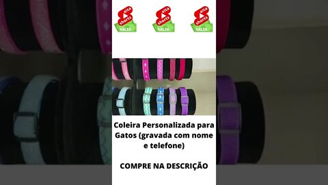 Coleira Personalizada Para Gatos #shorts