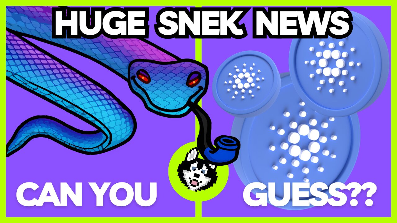 🔥 BIG #Cardano space News! #Sneks HUGE NEWS! 🔥 #ADAgang