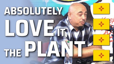 I Absolutely Love It, The Plant