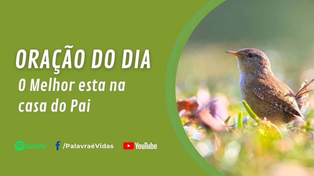 O Melhor Esta Na Casa Do Pai - Oração Do Dia 3 De Agosto