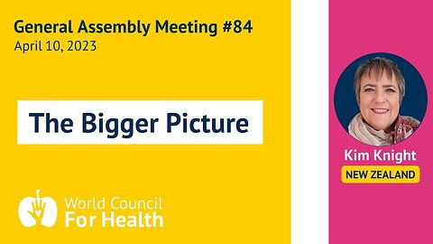 Kim Knight: The Bigger Picture