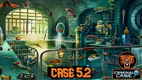 Grimsborough Case 5.2: A Russian Case