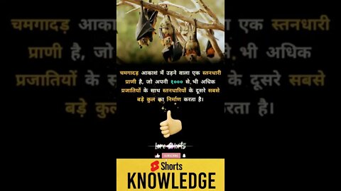 Motivational Quotes Intresting Facts lifestyle & research #shorts #ytshorts #knowledge #motivation