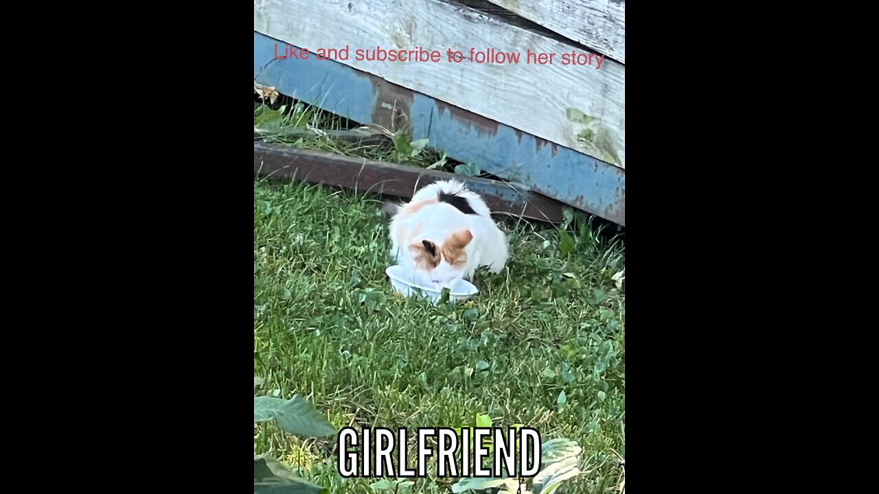 Missing for 2 days