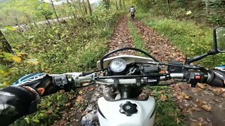Riding old rail trail on dual sports! (XR650L)