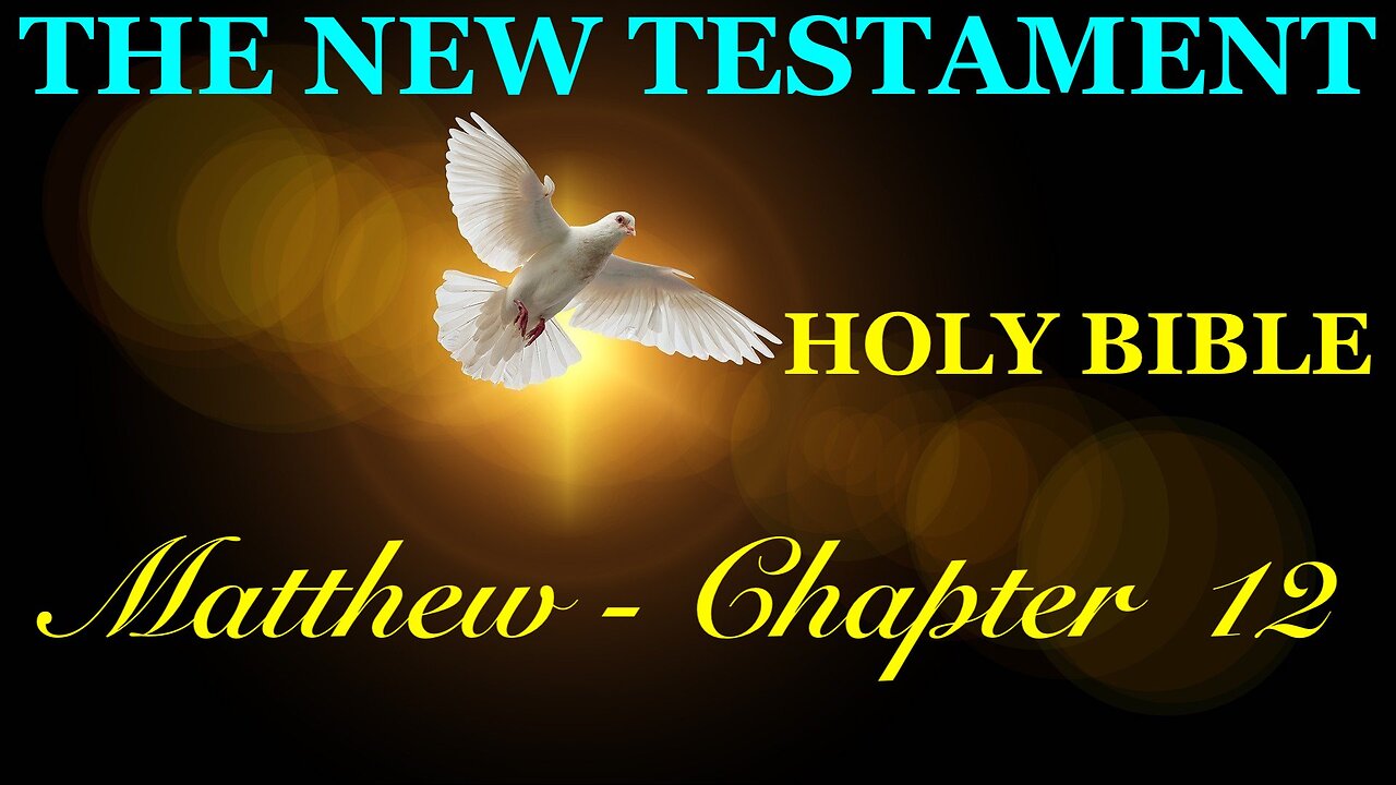 Matthew - Chapter 12 DAILY BIBLE STUDY {Spoken Word - Text - Red Letter Edition}