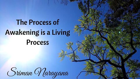 The Process of Awakening is a Living Process