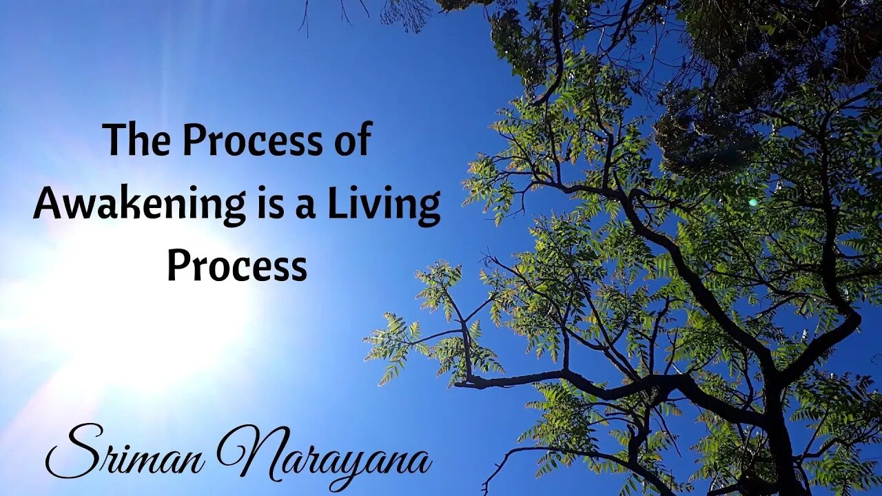The Process of Awakening is a Living Process