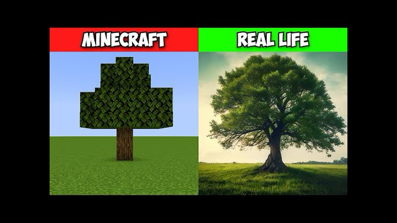 Minecraft VS Real Life Animation #1