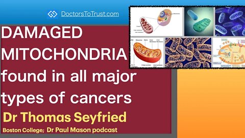 TOM SEYFRIED 2 | DAMAGED MITOCHONDRIA found in all major types of cancers