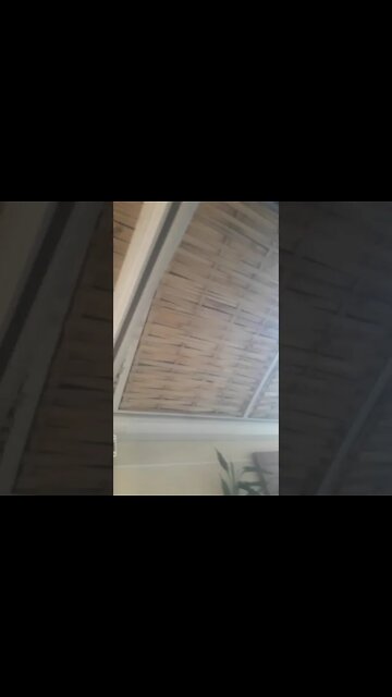 painel de bambu cana da Índia para sombreamento