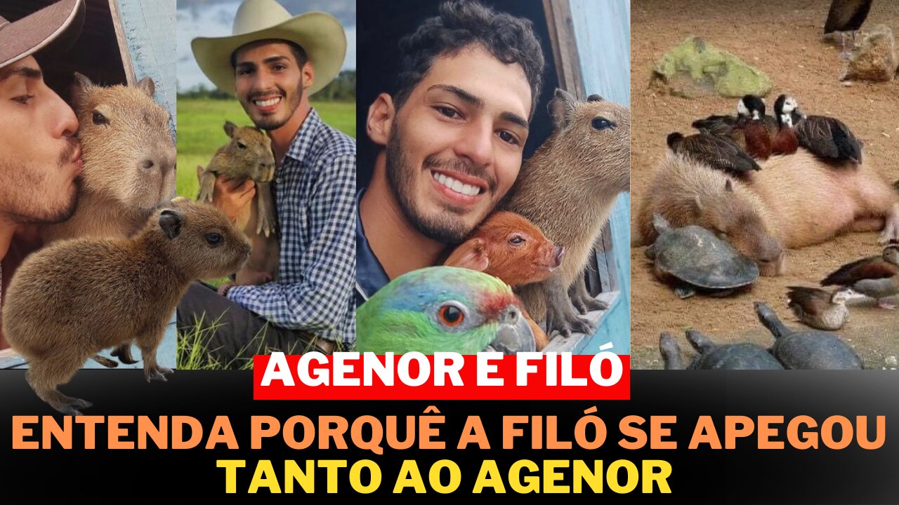 PORQUE AS CAPIVARAS SÃO ANIMAIS TÃO FOFINHO? VEJA