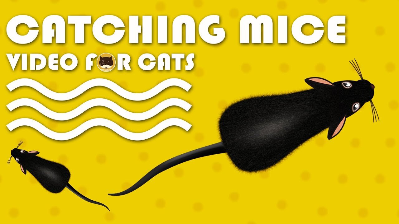 Cats catching mice game