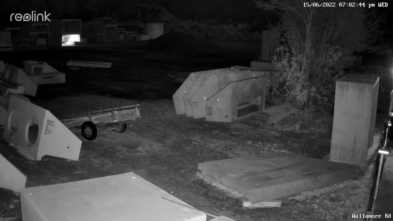 Possible Fox being bullied by male Fox audio