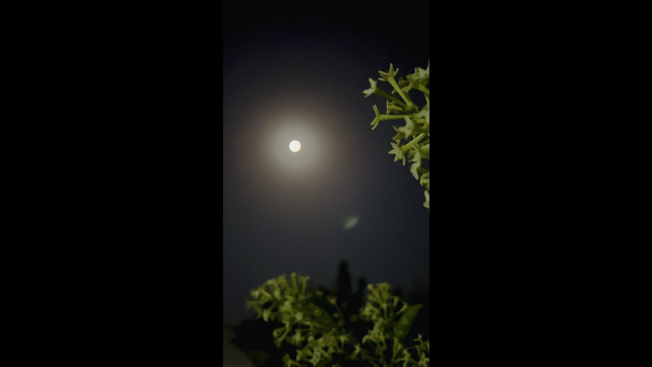 Super moon