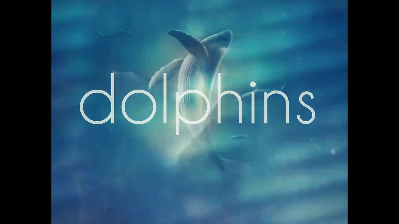 Marion ~ Dolphins | Chillstep / Deep Chill (No Copyright)