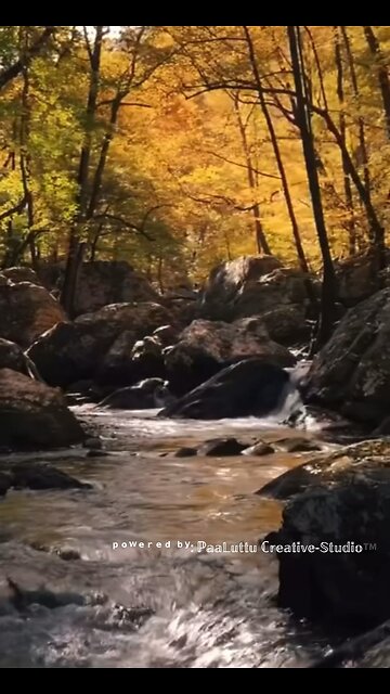 Lady cheated on her husband