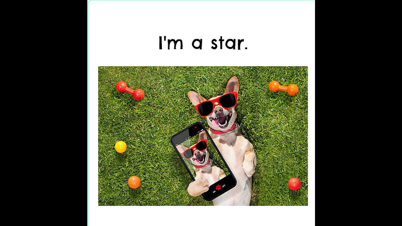 I'm A Star