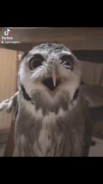 YOUR SO DAMNED BORING