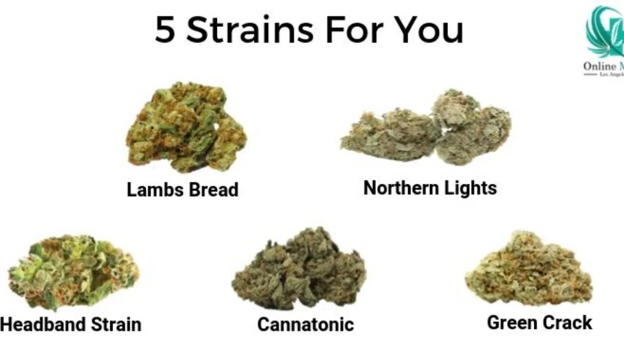 What Is Your Favorite Cannabis Strain? LIVE! Call-In Show!