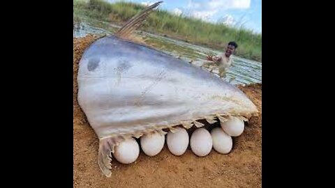 Fisherman Excellent Searching Catching Fish River Dry Place Underground Big Stuck Fishing