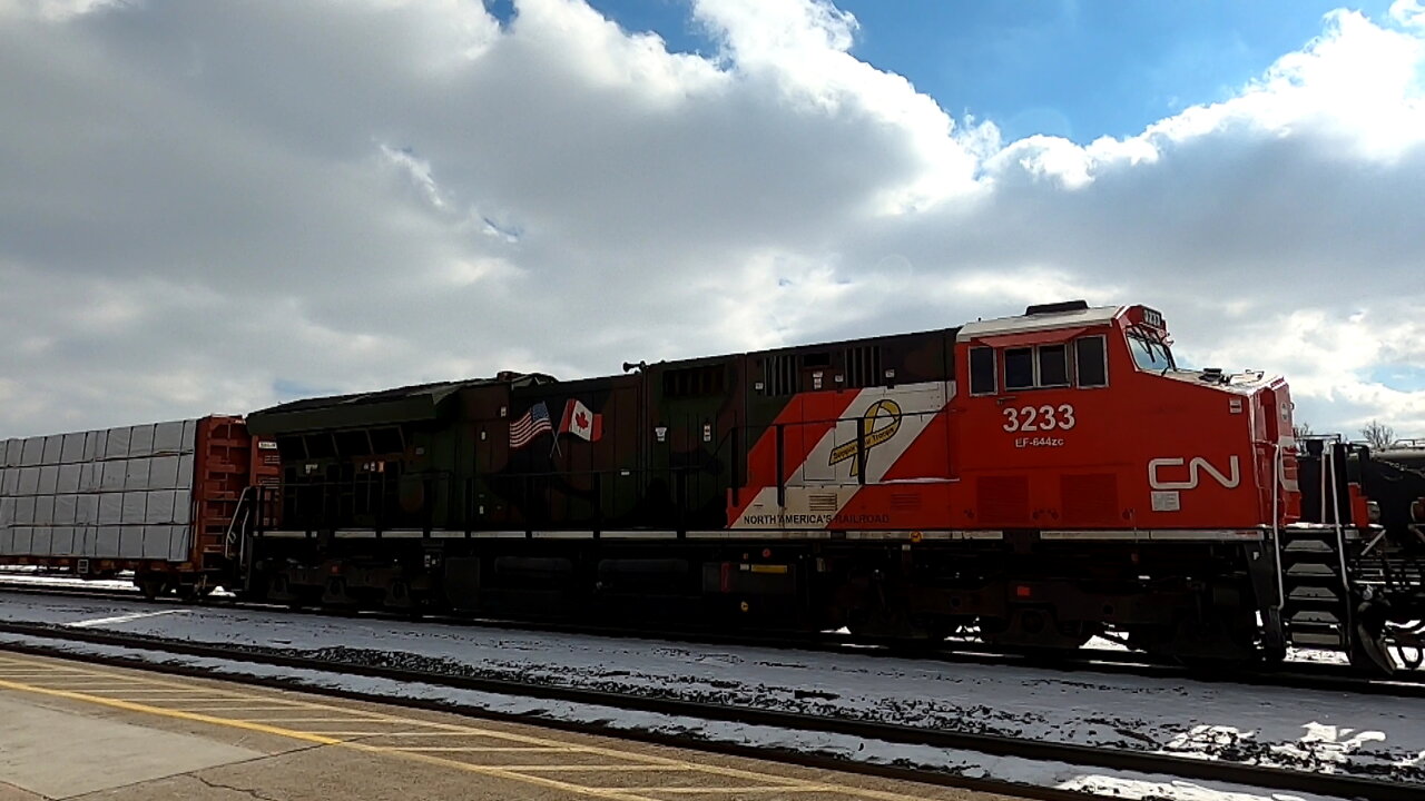 CN 3911 & CN 3233 Military Tribute Engines Manifest Train In Ontario