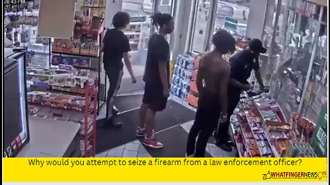 Why would you attempt to seize a firearm from a law enforcement officer?