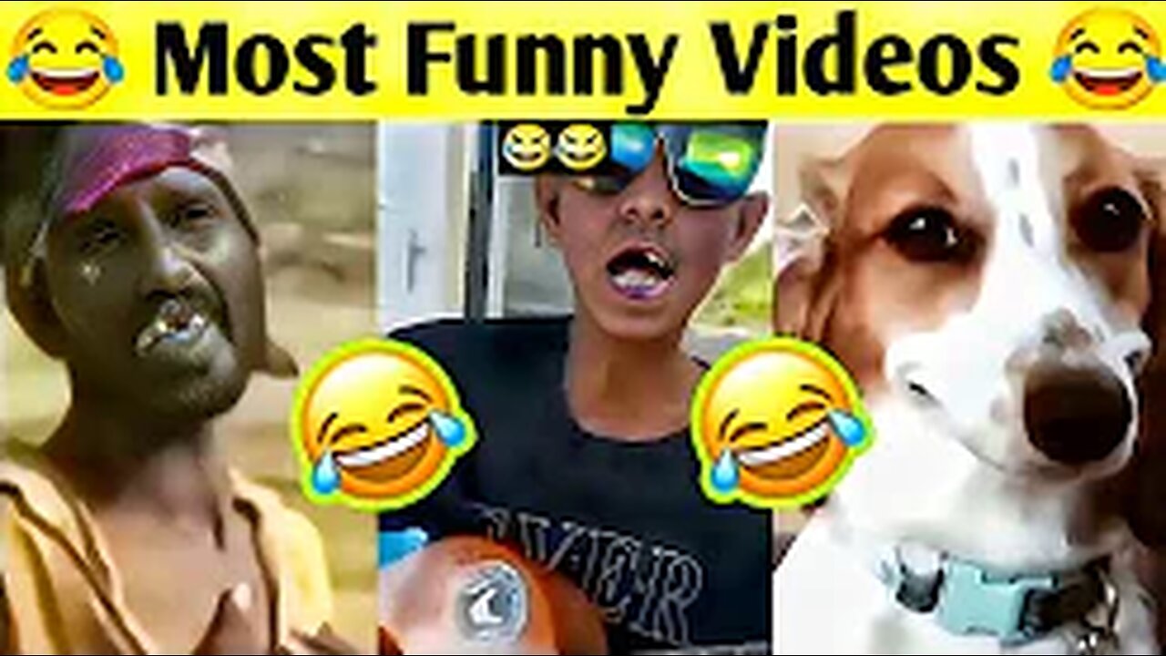 Most Funny Videos😂🤣 || Funny Video || Comedy Video || Meme | Memes | Funny Videos/Comedy Videos