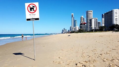 Gold Coast - Main Beach 🏖