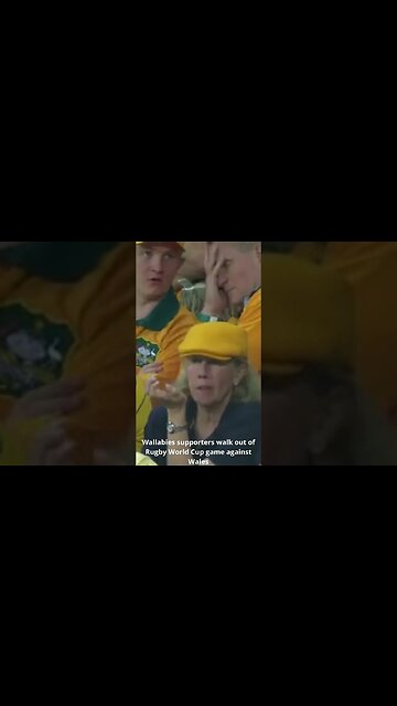 Wallabies supporters walk out of Rugby World Cup game against Wales #shorts #rugbyworldcup2023