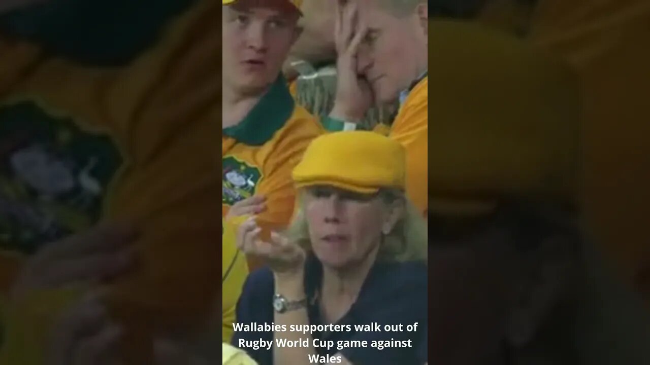 Wallabies supporters walk out of Rugby World Cup game against Wales #shorts #rugbyworldcup2023