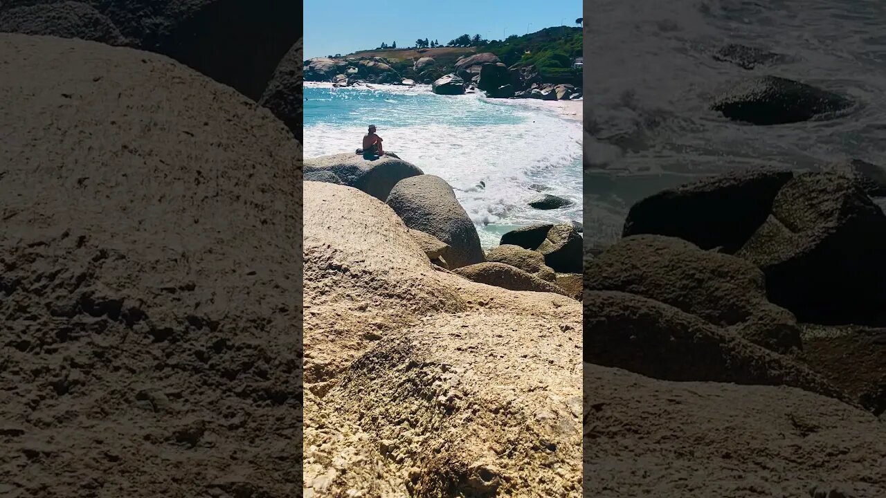 Sun and Surf #shorts