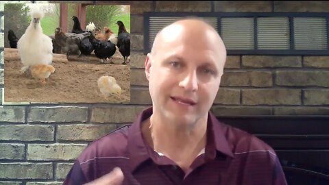 ONE OUNCE OF SILVER = LESS-THAN ONE PRODUCING CHICKEN.