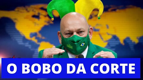 💥 LUCIANO HANG O BOBO DA CORTE - CIRCO, VEXAME, MENTIRAS E MUITA VERGONHA ALHEIA