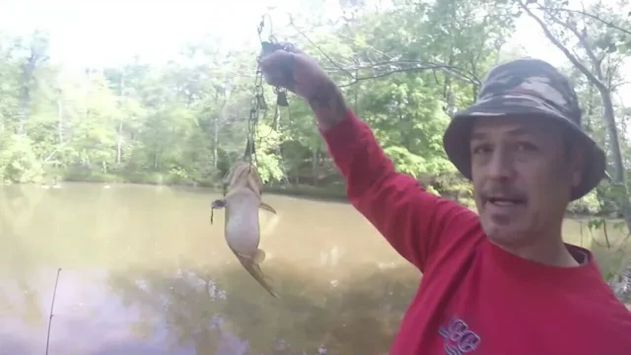 Honey Hole w/ a mama Cat