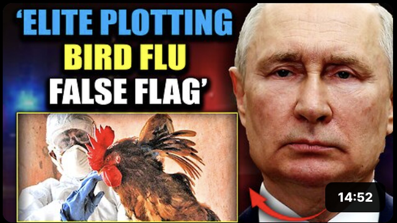 Putin Issues Urgent Warning: US Preparing Bird Flu False Flag To Sabotage Election