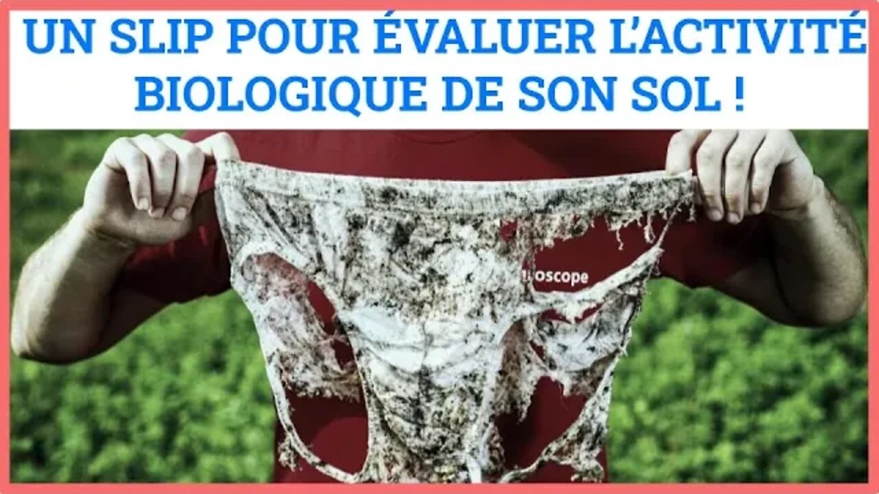 Un slip pour évaluer l’activité biologique de son sol ! @Chambre d’agriculture Pays de la Loire