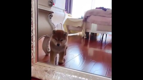 “How do I look?” 😂