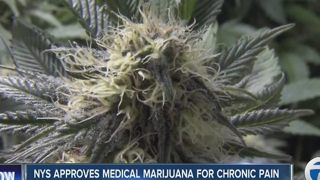 Medical marijuana reaction