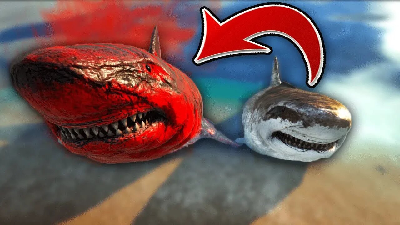 ALPHA vs NORMAL - How Do They Compare? [Megalodon]