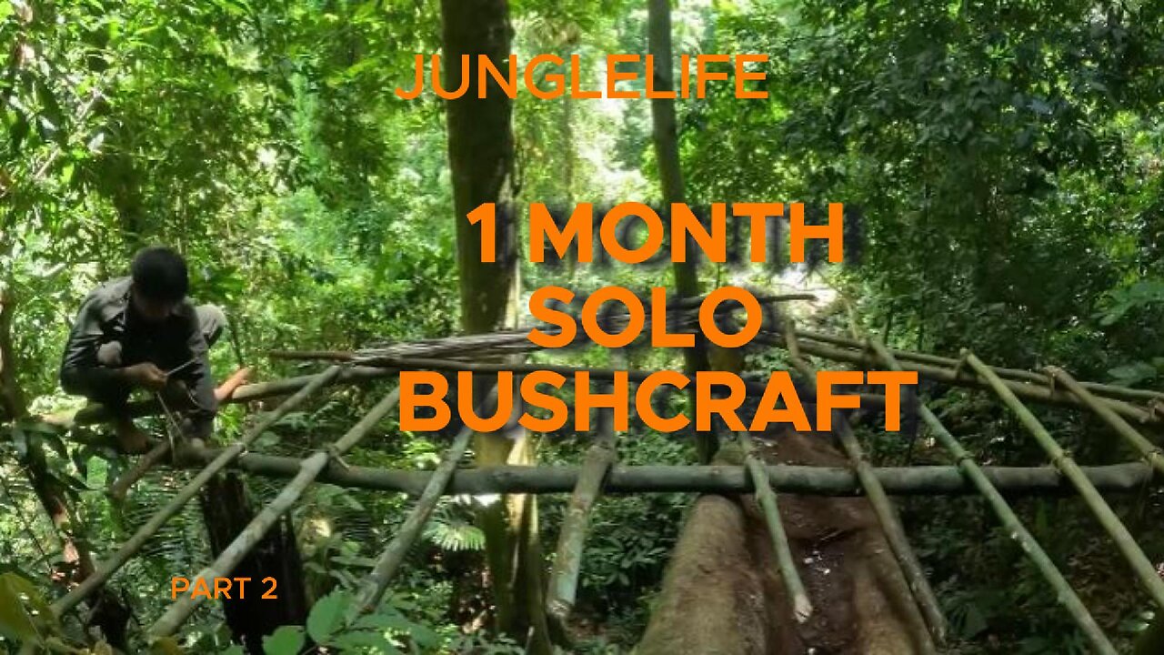 1 Month Solo Bushcraft. Build a box-shaped house on a tree. Survive in the Wild. part 2