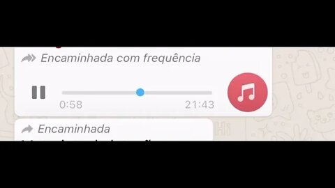 MOTORISTA ONIBUS ESTRESSADO COM IDOSOS NAS RUAS [ AUDIO WHATSAPP ] XINGOU MUITO NO AUDIO [ MEMES ]