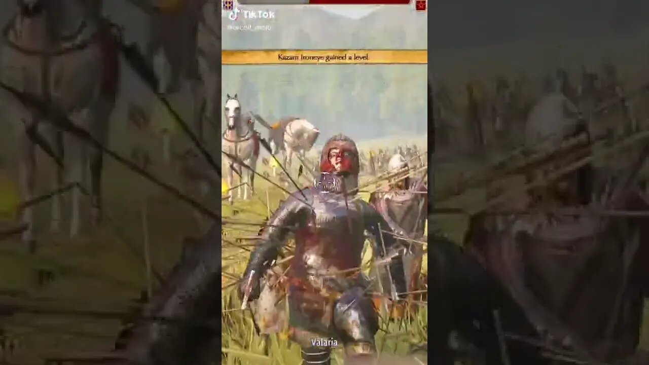 Mount & Blade II: Bannerlord Mods 2022 Viral TikTok Gaming Clips Reposts 136.9K Followers 3.5M Likes