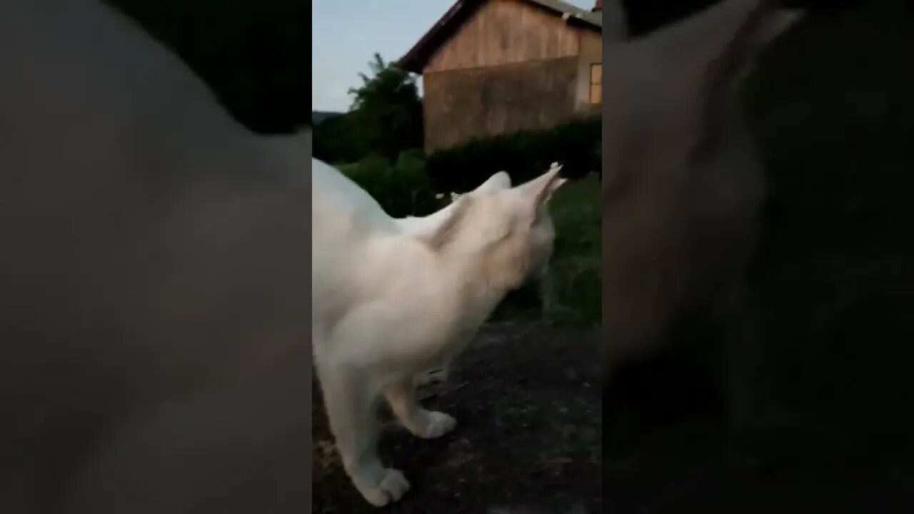 Tu fais quoi toi pendant tes vacances ?