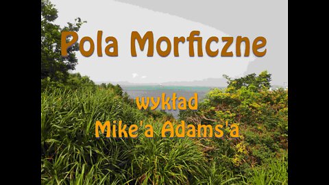 Pola morficzne – wykład Mike’a Adamsa