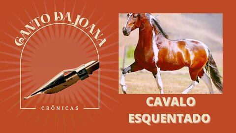 CAVALO ESQUENTADO