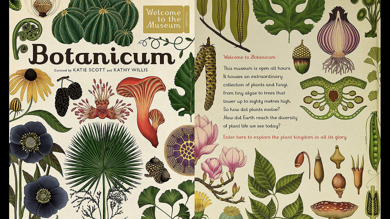 Botanicum: Welcome to the Museum